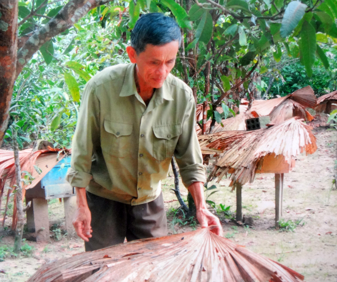 Ảnh 8 : Mô hình nuôi ong lấy mật của ông Đinh Xuân Khách ở thôn Minh Xuân.