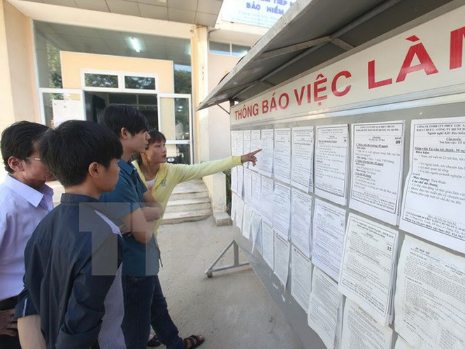 Các lao động tìm hiểu thông tin việc làm tại Trung tâm Dịch vụ việc làm tỉnh Thừa Thiên-Huế. (Ảnh: Anh Tuấn/TTXVN)