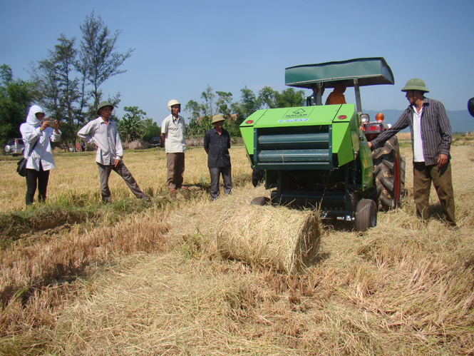 Nông dân xã Đại Trạch, huyện Bố Trạch đẩy mạnh đưa tiến bộ khoa học kỹ thuật vào đồng ruộng.