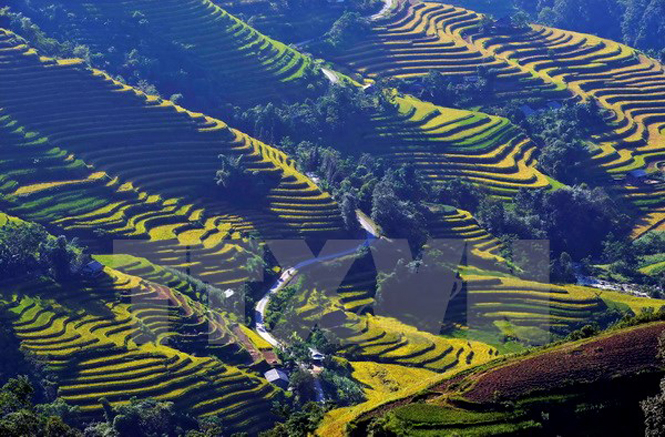 Ruộng bậc thang xã Bản Luốc, huyện Hoàng Su Phì (Hà Giang). (Ảnh: Thanh Hà/TTXVN)