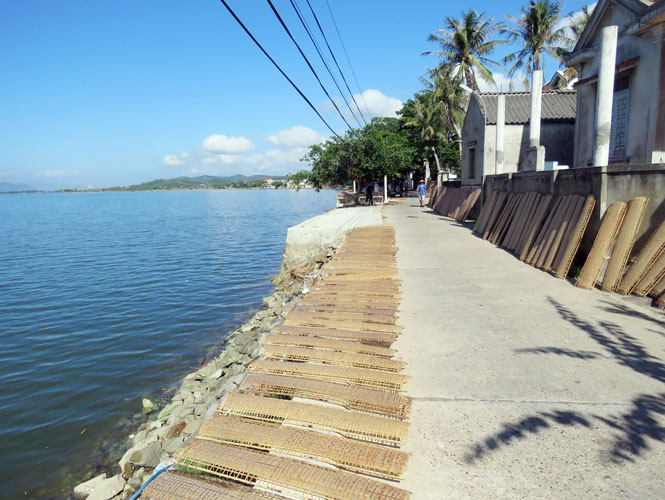 Một góc làng bánh tráng Tân An.