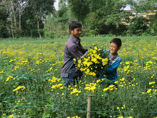 Gương mặt mùa xuân.