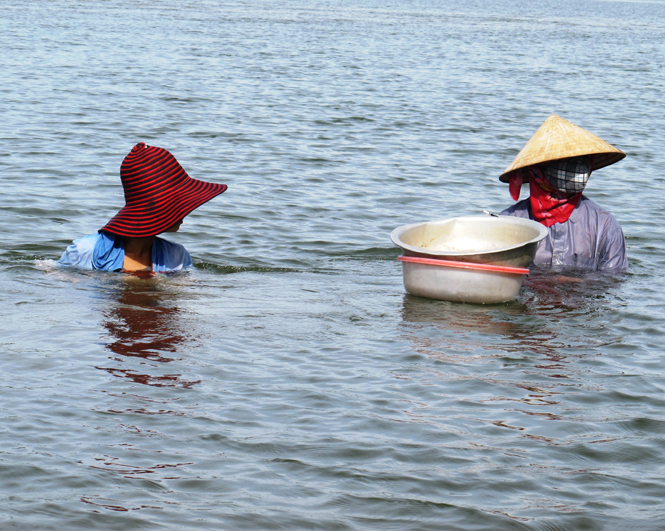 Lặn mò sò huyết trên sông Loan.