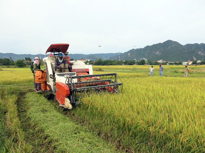Đưa cơ giới hóa vào sản xuất nông nghiệp ở huyện Minh Hóa.