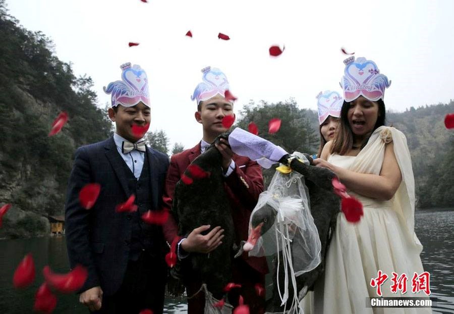  Giám đốc Liu cho biết hành động này có thể kỳ quặc nhưng chúng ta cần hiểu rằng các sinh vật trên trái đất cũng cảm xúc như con người. (Nguồn: CCTVNews)