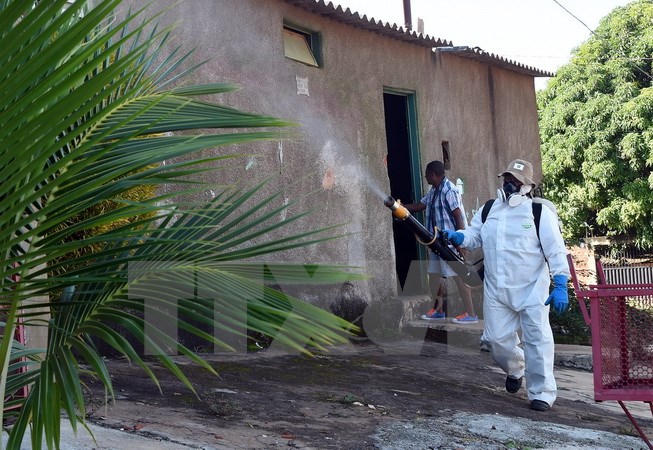 Phun thuốc diệt muỗi phòng tránh lây nhiễm virus zika tại Gama, Brazil. (Nguồn: AFP/TTXVN)