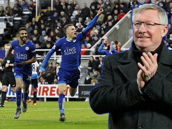 Sir Alex tin Leicester City sẽ vô địch. (Nguồn: sindonews.com)