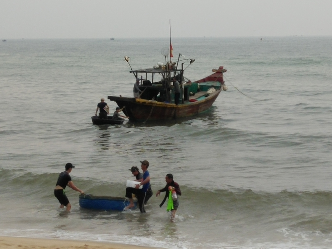 Với sự hỗ trợ kịp thời của Ngân hàng Nông nghiệp và Phát triển nông thôn ngư dân yên tâm bám biển ra khơi.