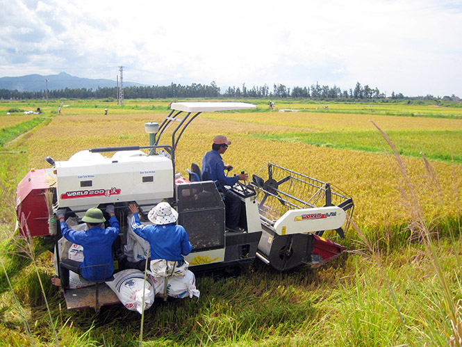 Cơ giới hóa góp phần nâng cao hiệu quả sản xuất cho bà con xã viên.