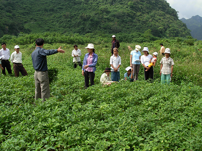  Có khoảng 70% người dân sống ở vùng nông thôn trong tỉnh.