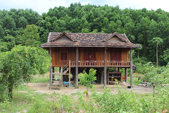 Những ngôi nhà sàn khang trang của đồng bào Vân Kiều Làng Ho.