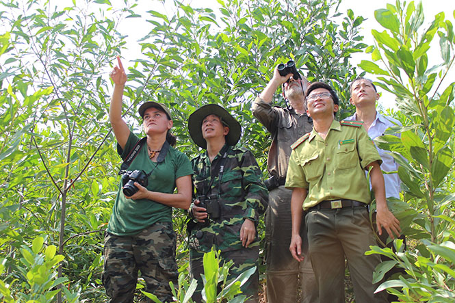  Các chuyên gia khảo sát hiện trường nơi đàn Voọc gáy trắng sinh sống.