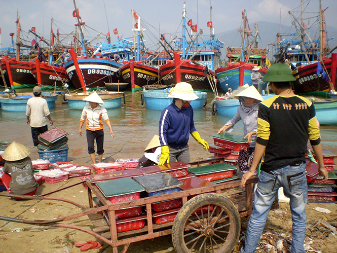 Mong mỏi của ngư dân là tiếp tục bám biển, vươn khơi.