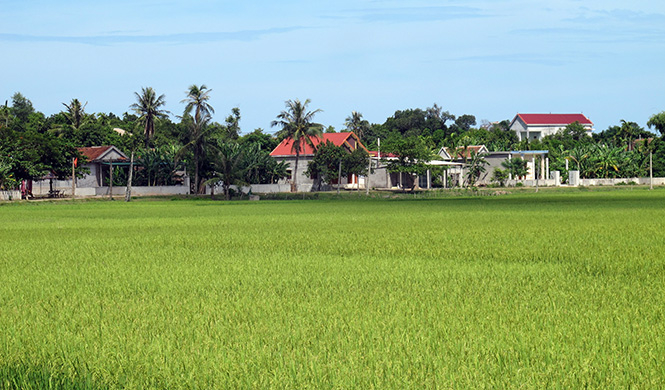 Sau 5 năm triển khai xây dựng, bộ mặt nông thôn mới ở Quảng Lưu đã có nhiều khởi sắc.