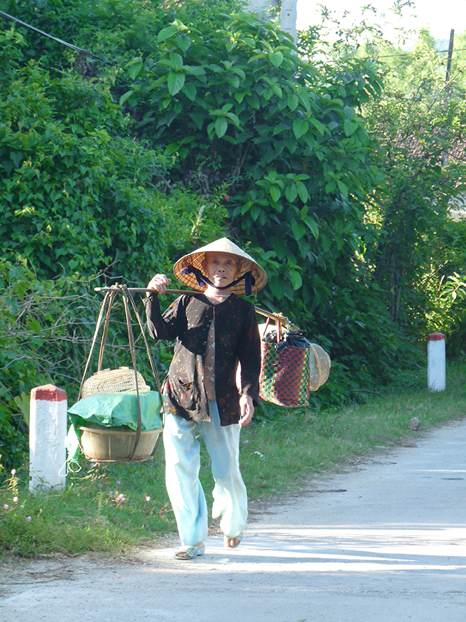 Tảo tần. Ảnh: P.V