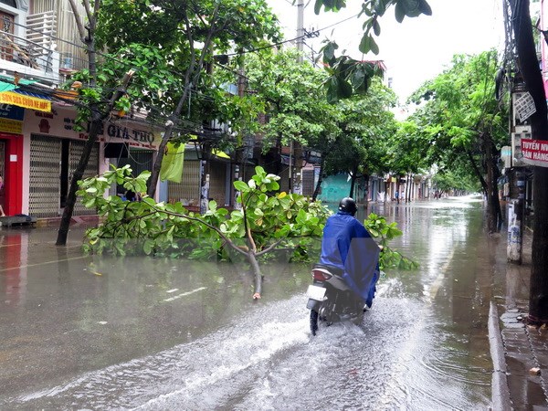 (Ảnh minh họa: Văn Đạt/TTXVN)