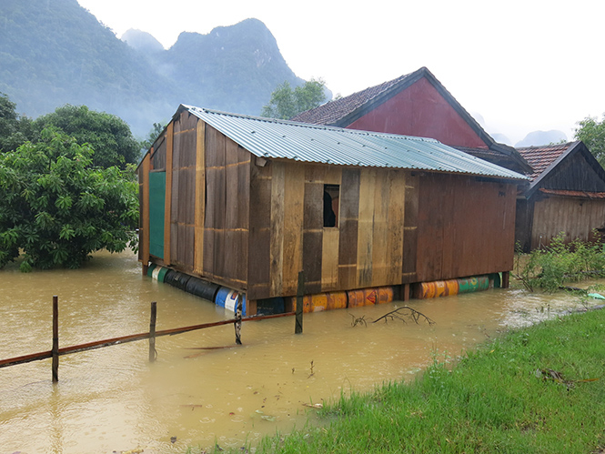 Nhà chống lũ của người dân xã Tân Hóa đang phát huy hiệu quả.