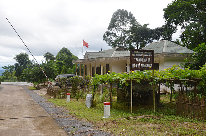 Trạm bảo vệ rừng U Bò, bảo vệ 5.300ha rừng tự nhiên.