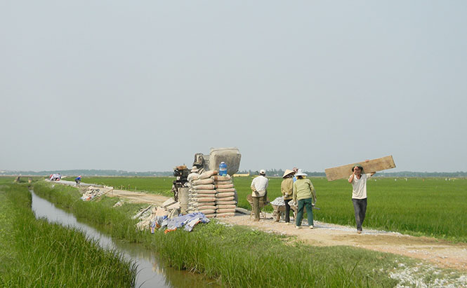 Nông dân huyện Lệ Thuỷ bê tông hoá giao thông nội đồng.