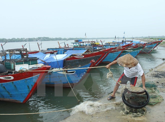 Ngư dân neo đậu tàu thuyền. (Ảnh: Hồ Cầu/TTXVN)