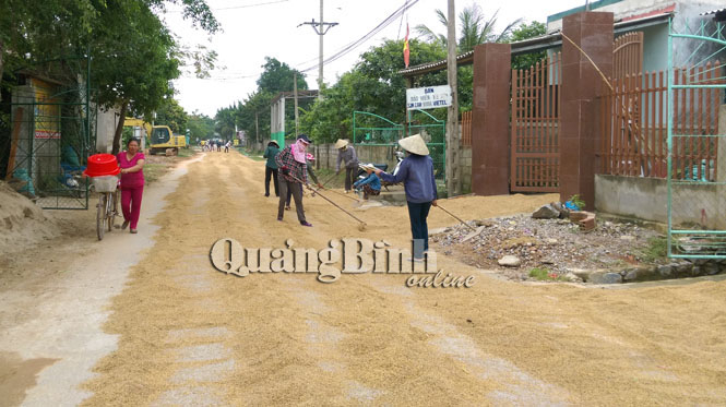 Người dân Sơn Thủy tranh thủ phơi lúa ngay trên đường giao thông liên xã.