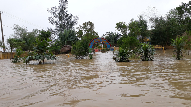 Khu vườn cổ tích và toàn bộ khuôn viên trường còn ngập sâu trong lũ. 