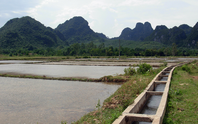 Đầu tư xây dựng hệ thống kênh mương phục vụ tưới tiêu ở vùng khó khăn.