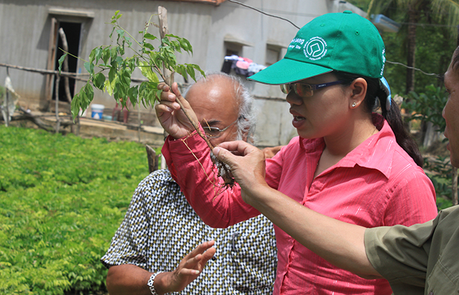 Hỗ trợ phát triển giống cây bản địa cho người dân.