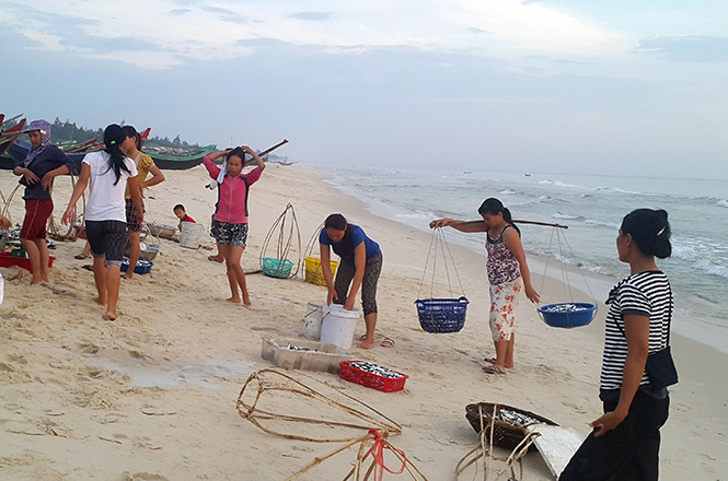 Sản xuất và đời sống của bà con xã Hải Ninh cơ bản đã ổn định trở lại.