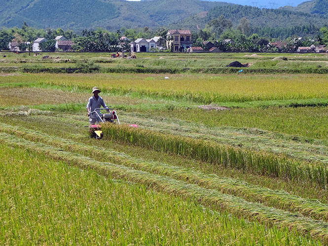 Các tầng lớp nhân dân đẩy mạnh phát triển kinh tế, thi đua lao động sản xuất để giảm nghèo.