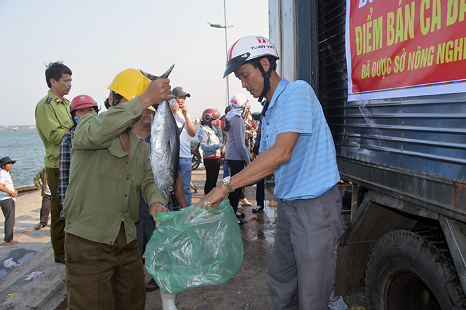  Điểm bán cá an toàn tại chợ Đồng Hới.