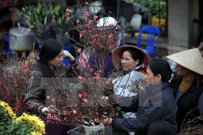 Ảnh minh họa. (Nguồn: TTXVN)