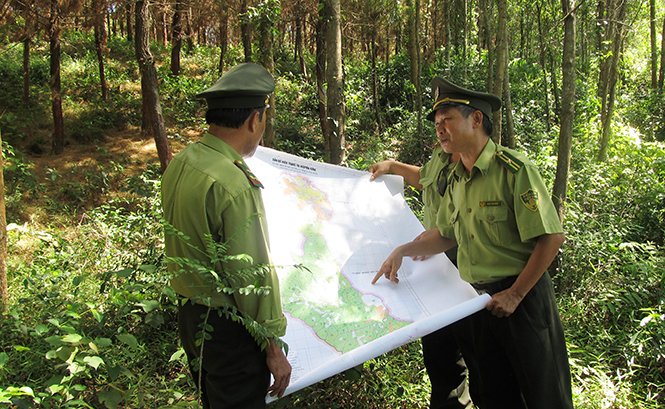 Kiểm tra phương án phòng chống cháy rừng.