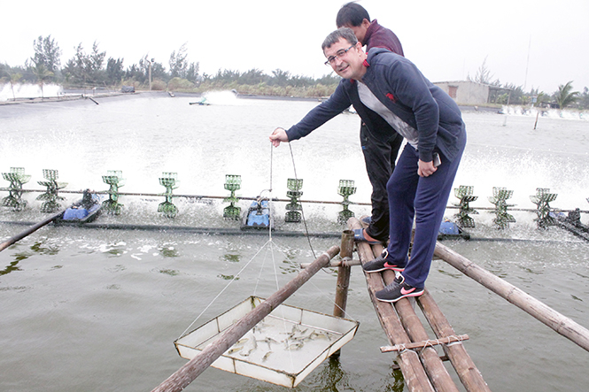 Nikolai bên những đầm tôm của mình.