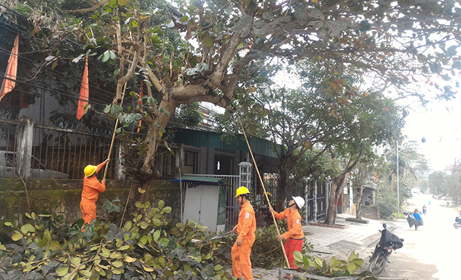  Điện lực Tuyên Hoá tổ chức phát quang hành lang lưới điện.