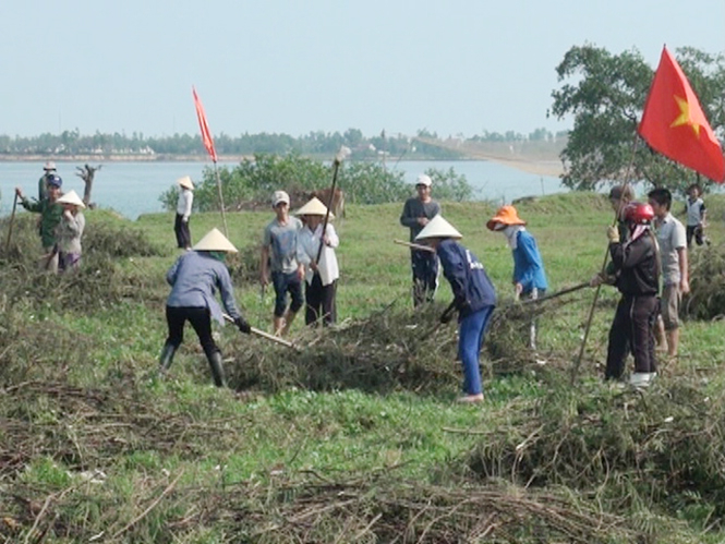 Phụ nữ Quảng Ninh ra quân diệt cây mai dương.