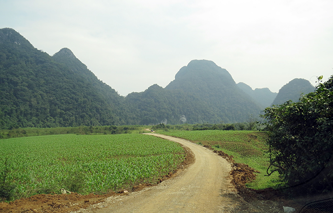 Sau mùa lũ, Tân Hóa (Minh Hóa) trở về với cảnh sắc nên thơ với những cánh đồng ngô, lúa xanh mướt mắt.