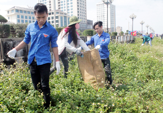  Các đoàn viên, thanh niên Đoàn Khối các cơ quan tỉnh thu gom rác thải dọc bãi biển Nhật Lệ
