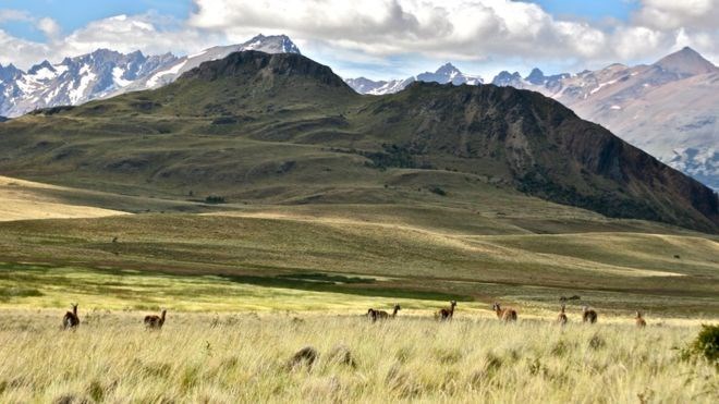 Gia đình tỷ phú Douglas Tompkins hiến tặng 407.000 ha rừng nguyên sinh. (Nguồn: bbc.com)