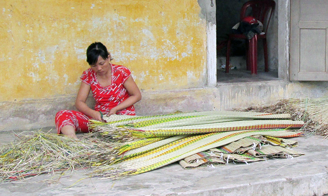  Để hoàn thành một sản phẩm chiếu cói phải trải qua nhiều công đoạn và đòi hỏi sự tỉ mẫn của người làm nghề.