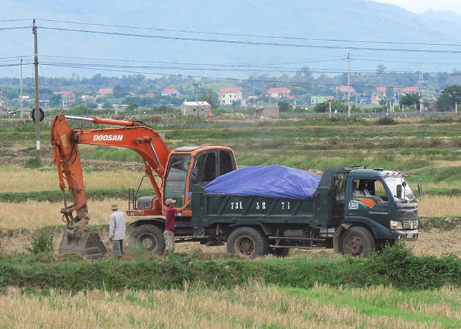 Tình trạng khai thác trái phép đất nông nghiệp vẫn diễn ra ở nhiều nơi.