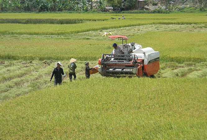 Nông dân Tuyên Hóa đẩy mạnh đưa cơ giới hoá vào đồng ruộng.