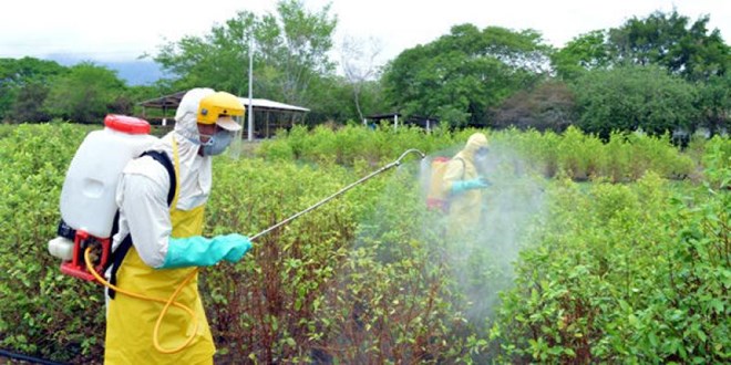 Ảnh minh họa. (Nguồn: cadenanoticias.mx)