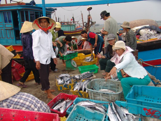 Tàu cá cập bờ ở Bố Trạch.