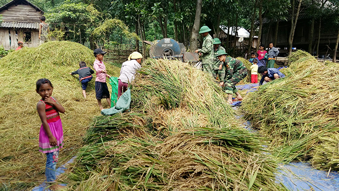 Máy tuốt lúa đã được Đồn Biên phòng CKQT Cha Lo vận hành hết công suất.