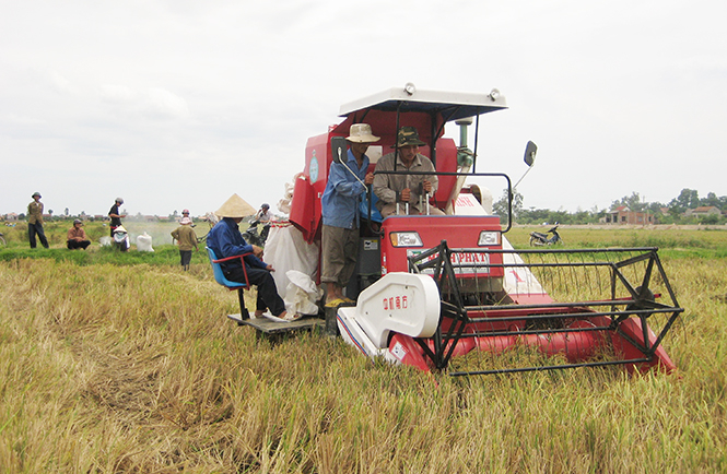  Đẩy mạnh cơ giới hóa nông nghiệp là một trong những chuyên đề chỉ đạo chuyên sâu của các tổ chức đảng.