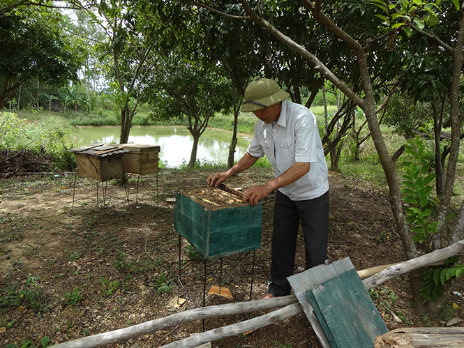 Nhiều điển hình CCB làm kinh tế giỏi đã góp phần thực hiện hiệu quả bải toán giảm nghèo ở các địa phương