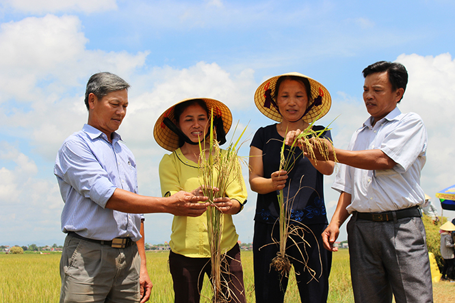 Dự án FLOW/EOW nâng cao vai trò, vị thế của người phụ nữ trong xã hội.