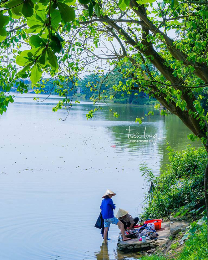 Dưới ống kính của Trần Quang Long, miền quê lúa Lệ Thủy hiện ra đầy thân thương, trìu mến.