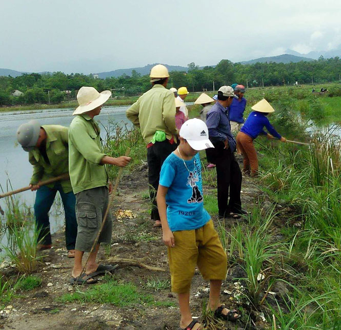 Các lực lượng ra quân diệt chuột trên cánh đồng xã Vạn Ninh